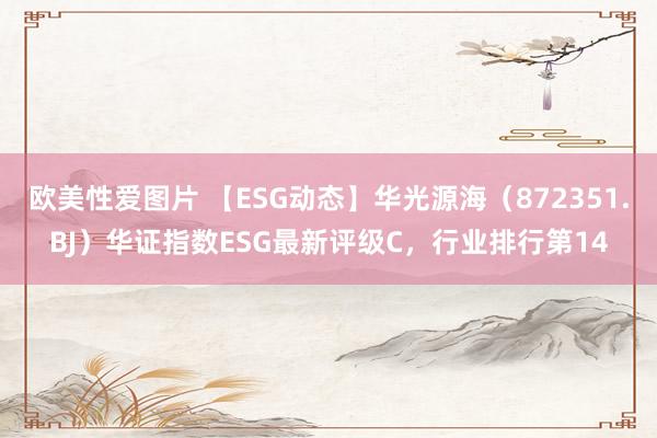 欧美性爱图片 【ESG动态】华光源海（872351.BJ）华证指数ESG最新评级C，行业排行第14