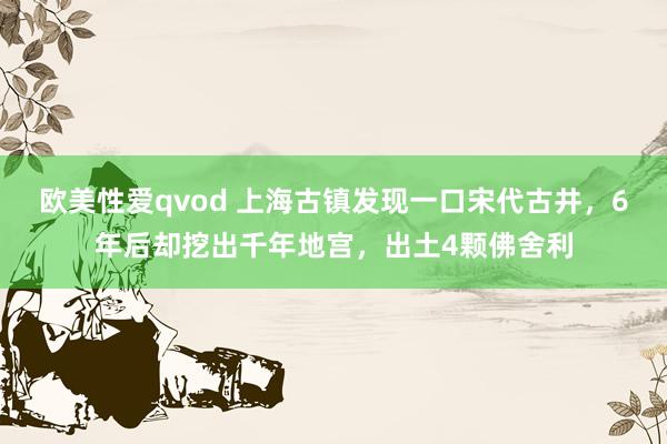 欧美性爱qvod 上海古镇发现一口宋代古井，6年后却挖出千年地宫，出土4颗佛舍利