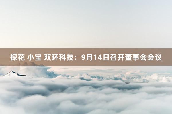 探花 小宝 双环科技：9月14日召开董事会会议