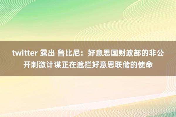 twitter 露出 鲁比尼：好意思国财政部的非公开刺激计谋正在遮拦好意思联储的使命