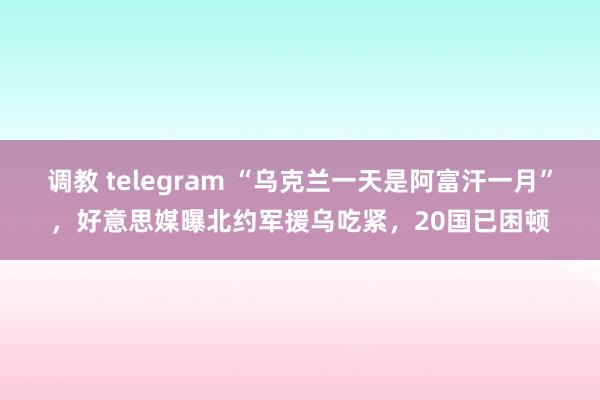 调教 telegram “乌克兰一天是阿富汗一月”，好意思媒曝北约军援乌吃紧，20国已困顿