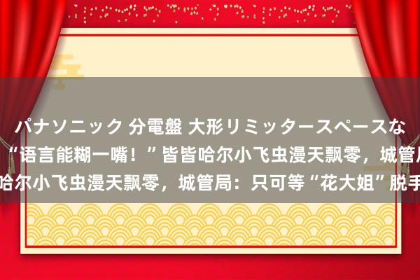 パナソニック 分電盤 大形リミッタースペースなし 露出・半埋込両用形 “语言能糊一嘴！”皆皆哈尔小飞虫漫天飘零，城管局：只可等“花大姐”脱手