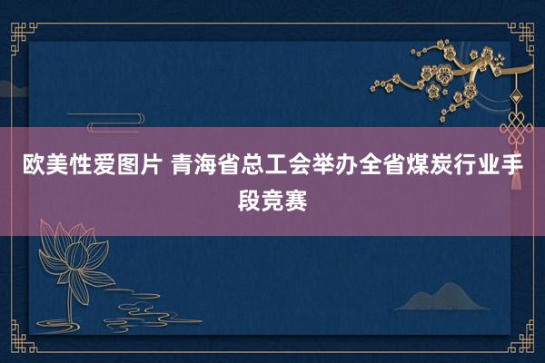 欧美性爱图片 青海省总工会举办全省煤炭行业手段竞赛