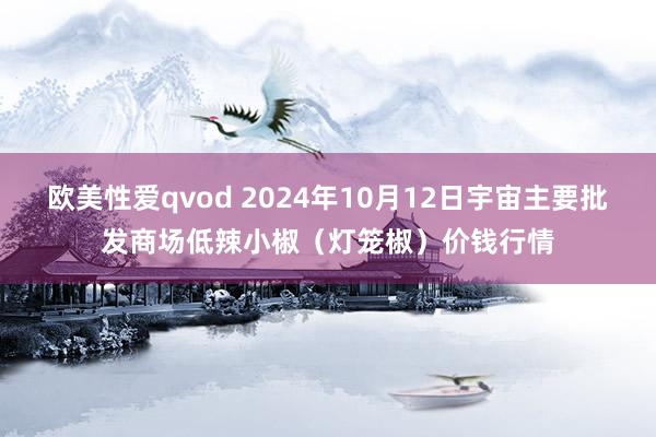 欧美性爱qvod 2024年10月12日宇宙主要批发商场低辣小椒（灯笼椒）价钱行情