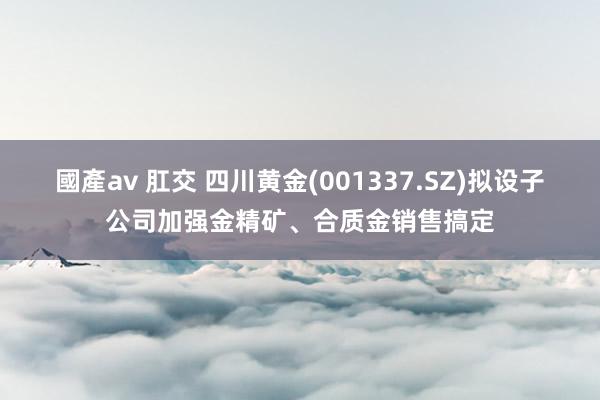 國產av 肛交 四川黄金(001337.SZ)拟设子公司加强金精矿、合质金销售搞定