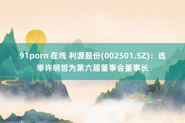 91porn 在线 利源股份(002501.SZ)：选举许明哲为第六届董事会董事长