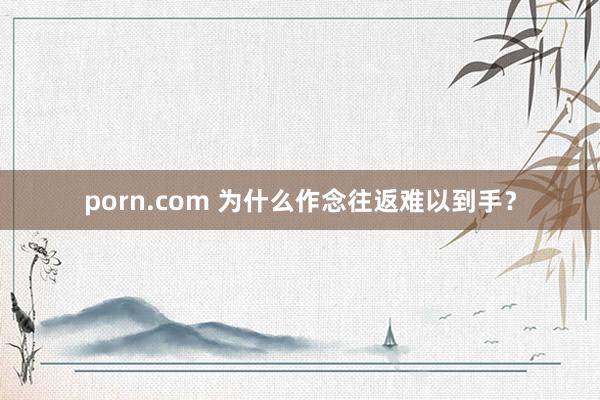 porn.com 为什么作念往返难以到手？