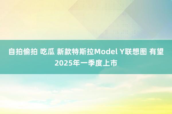 自拍偷拍 吃瓜 新款特斯拉Model Y联想图 有望2025年一季度上市