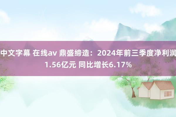 中文字幕 在线av 鼎盛缔造：2024年前三季度净利润1.56亿元 同比增长6.17%