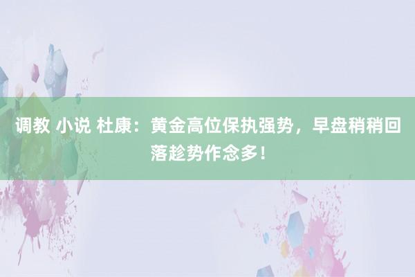 调教 小说 杜康：黄金高位保执强势，早盘稍稍回落趁势作念多！