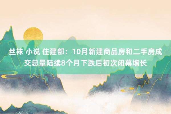 丝袜 小说 住建部：10月新建商品房和二手房成交总量陆续8个月下跌后初次闭幕增长