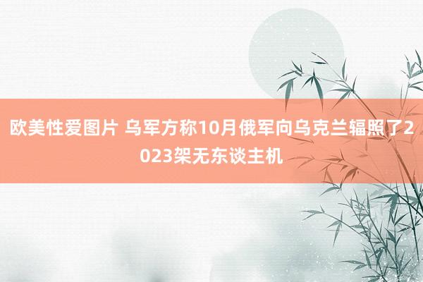 欧美性爱图片 乌军方称10月俄军向乌克兰辐照了2023架无东谈主机