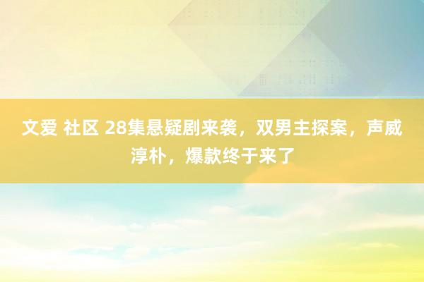 文爱 社区 28集悬疑剧来袭，双男主探案，声威淳朴，爆款终于来了