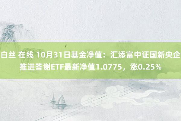 白丝 在线 10月31日基金净值：汇添富中证国新央企推进答谢ETF最新净值1.0775，涨0.25%