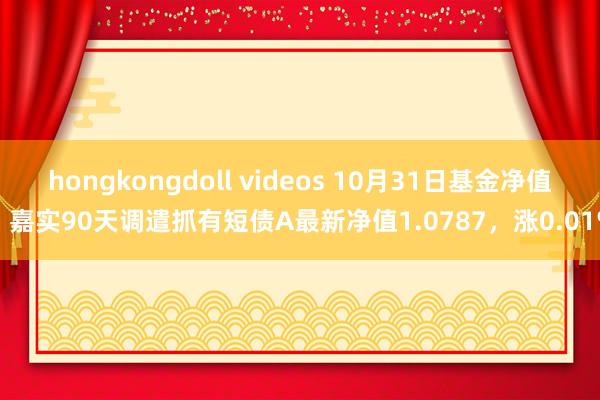 hongkongdoll videos 10月31日基金净值：嘉实90天调遣抓有短债A最新净值1.0787，涨0.01%