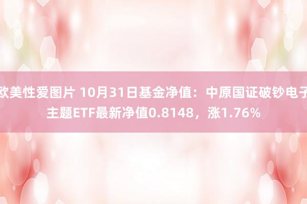 欧美性爱图片 10月31日基金净值：中原国证破钞电子主题ETF最新净值0.8148，涨1.76%