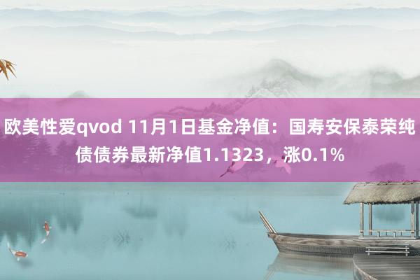 欧美性爱qvod 11月1日基金净值：国寿安保泰荣纯债债券最新净值1.1323，涨0.1%