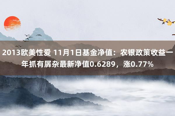 2013欧美性爱 11月1日基金净值：农银政策收益一年抓有羼杂最新净值0.6289，涨0.77%