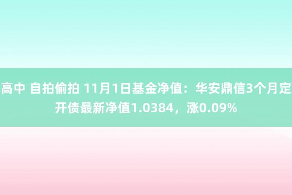 高中 自拍偷拍 11月1日基金净值：华安鼎信3个月定开债最新净值1.0384，涨0.09%