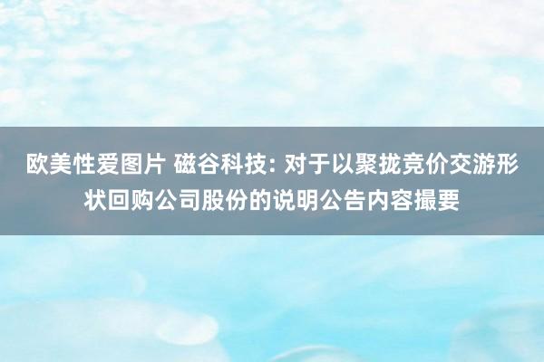 欧美性爱图片 磁谷科技: 对于以聚拢竞价交游形状回购公司股份的说明公告内容撮要