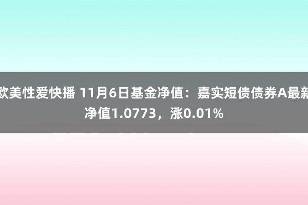 欧美性爱快播 11月6日基金净值：嘉实短债债券A最新净值1.0773，涨0.01%