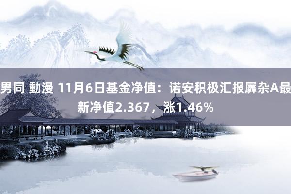 男同 動漫 11月6日基金净值：诺安积极汇报羼杂A最新净值2.367，涨1.46%