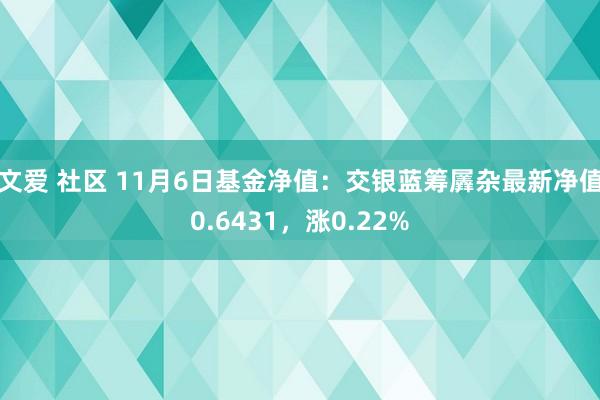 文爱 社区 11月6日基金净值：交银蓝筹羼杂最新净值0.6431，涨0.22%