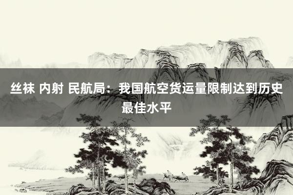 丝袜 内射 民航局：我国航空货运量限制达到历史最佳水平