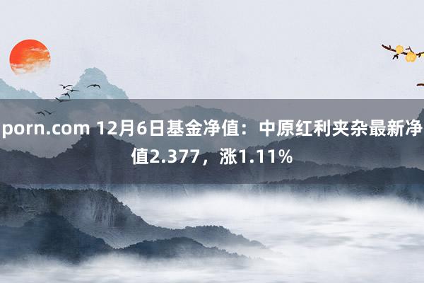 porn.com 12月6日基金净值：中原红利夹杂最新净值2.377，涨1.11%