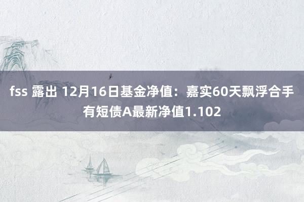 fss 露出 12月16日基金净值：嘉实60天飘浮合手有短债A最新净值1.102