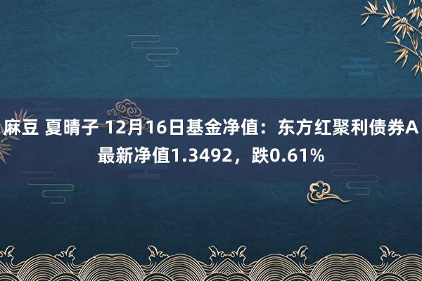 麻豆 夏晴子 12月16日基金净值：东方红聚利债券A最新净值1.3492，跌0.61%