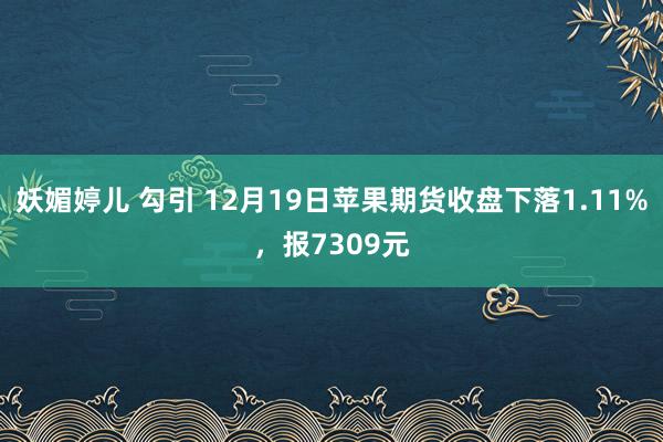 妖媚婷儿 勾引 12月19日苹果期货收盘下落1.11%，报7309元