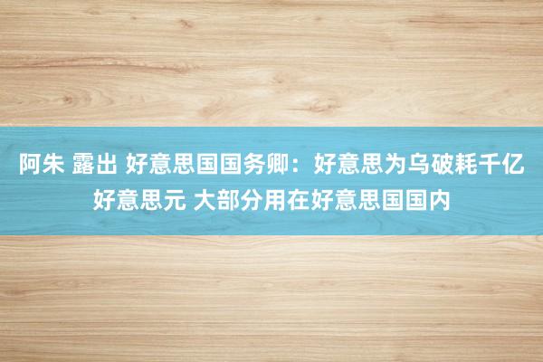 阿朱 露出 好意思国国务卿：好意思为乌破耗千亿好意思元 大部分用在好意思国国内