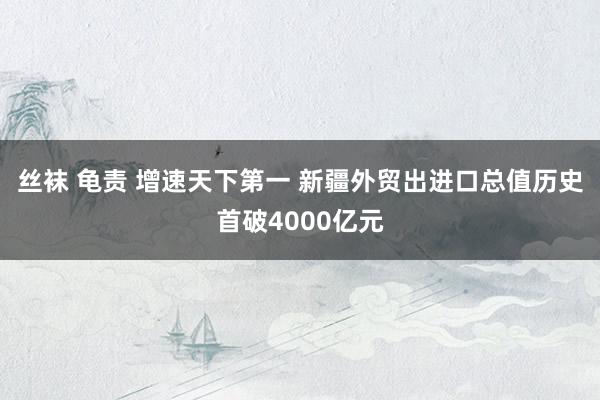 丝袜 龟责 增速天下第一 新疆外贸出进口总值历史首破4000亿元