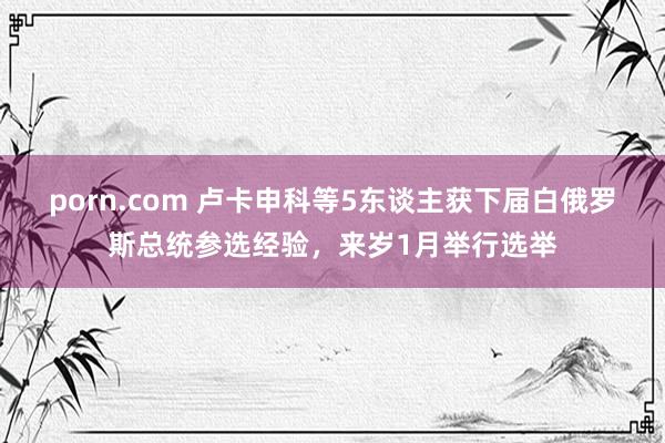 porn.com 卢卡申科等5东谈主获下届白俄罗斯总统参选经验，来岁1月举行选举