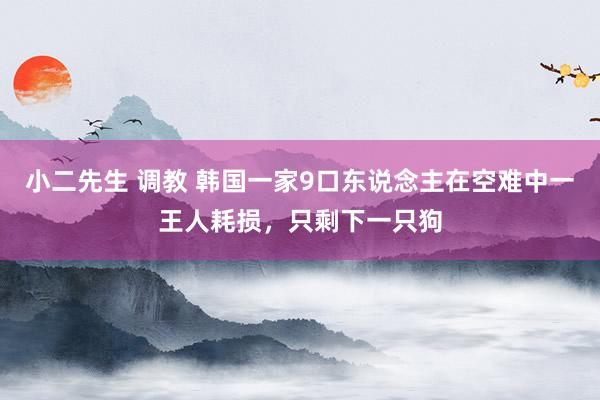 小二先生 调教 韩国一家9口东说念主在空难中一王人耗损，只剩下一只狗