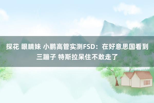 探花 眼睛妹 小鹏高管实测FSD：在好意思国看到三蹦子 特斯拉呆住不敢走了