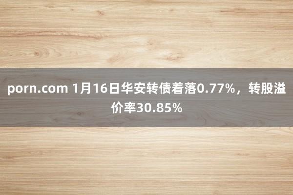 porn.com 1月16日华安转债着落0.77%，转股溢价率30.85%