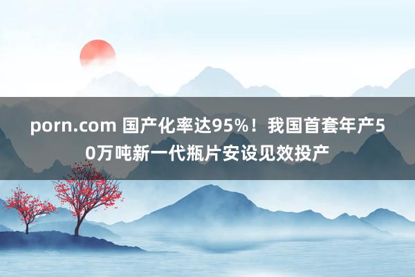 porn.com 国产化率达95%！我国首套年产50万吨新一代瓶片安设见效投产