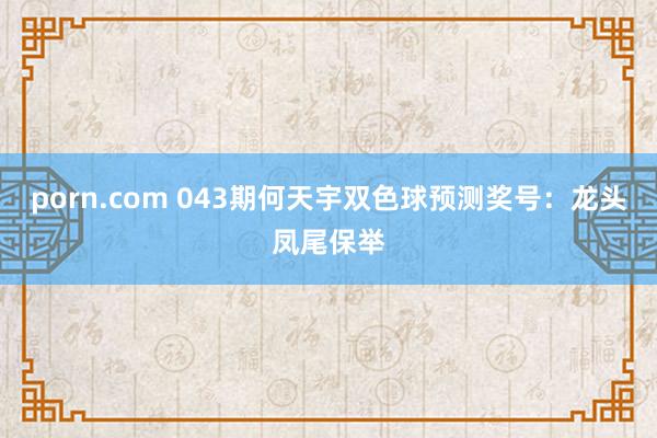 porn.com 043期何天宇双色球预测奖号：龙头凤尾保举
